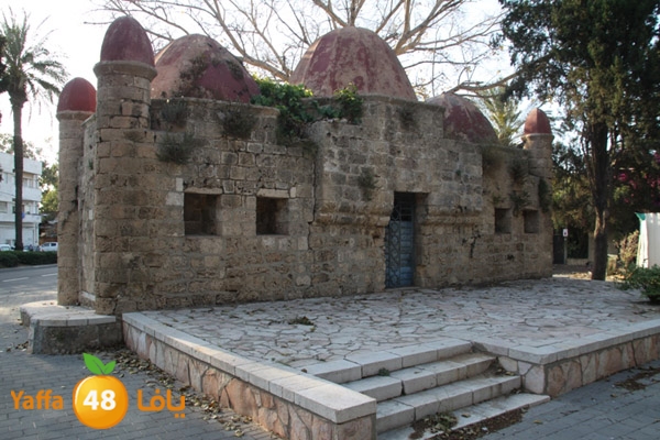 abonabootsbeel502 (3).JPG